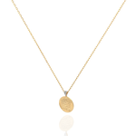 Load image into Gallery viewer, Roots Dirham Coin Necklace