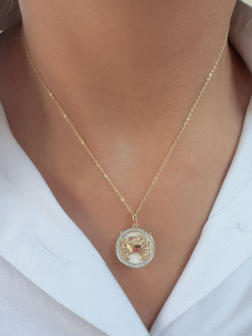 Zodiac Signs Necklace