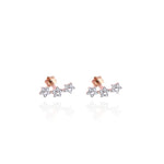 Load image into Gallery viewer, Wilderness 3 Flower Piercing