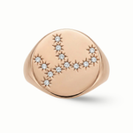 Load image into Gallery viewer, Zodiac Constellations Pinky Ring