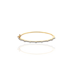 Load image into Gallery viewer, Luxury Diamond &amp; Birthstone Bangles
