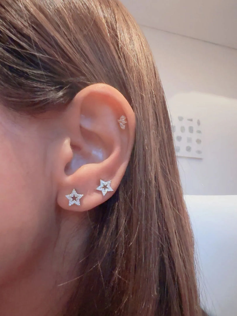 Wilderness Star/ Heart Outline Ear Studs