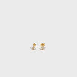 Load and play video in Gallery viewer, Wilderness Bee Diamond Ear Studs

