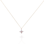 Load image into Gallery viewer, Wilderness Star &amp; Birthstone Necklace
