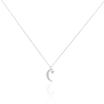 Load image into Gallery viewer, Wilderness Star and Moon Necklace
