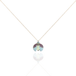 Load image into Gallery viewer, Wilderness Openable Ladybug Necklace
