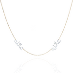 Load image into Gallery viewer, Sentiments Dual Name Necklace
