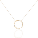 Load image into Gallery viewer, Circle of Life Necklace

