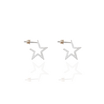 Load image into Gallery viewer, Wilderness Large Star Outline Earrings
