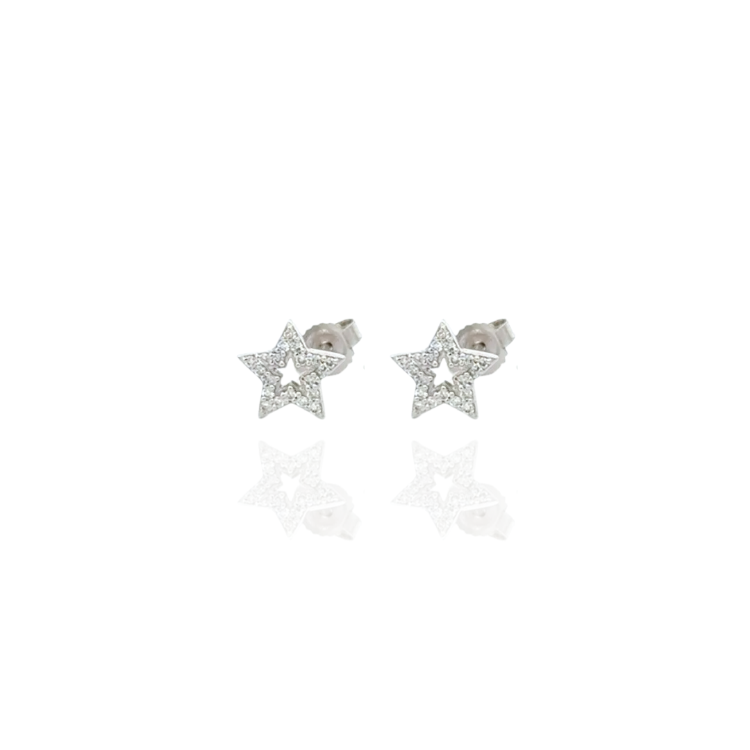Wilderness Star/ Heart Outline Ear Studs
